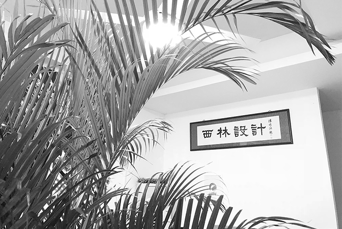 品牌包装项目诊断权益